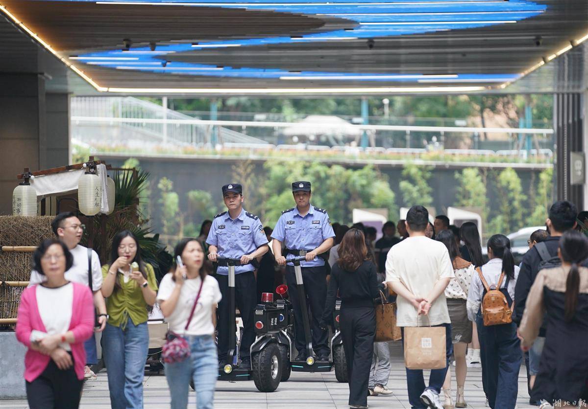 菠菜网下载